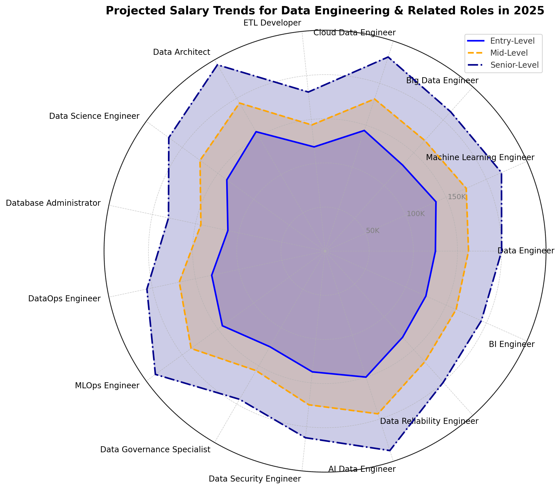 Projected Salary Trends for Data Engineering & Related Role in 2025